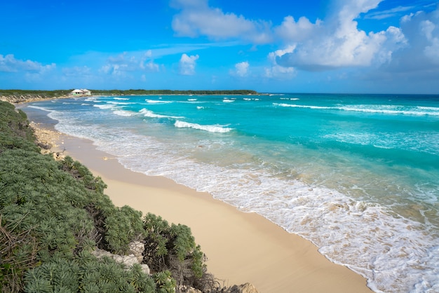 Cozumel wyspa El Mirador plaża w Meksyk