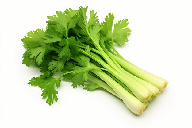 Zdjęcie crisp celery bunch