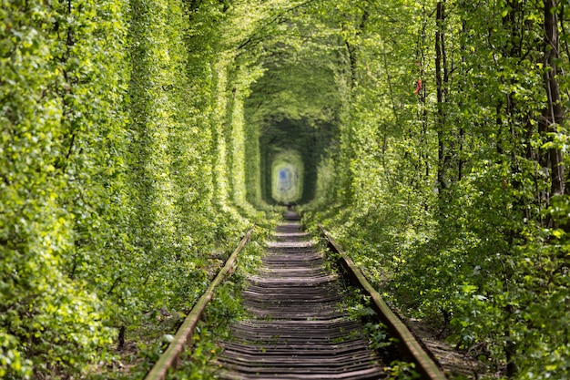 Cuda Natury. Tunel Miłości. Ukraina.