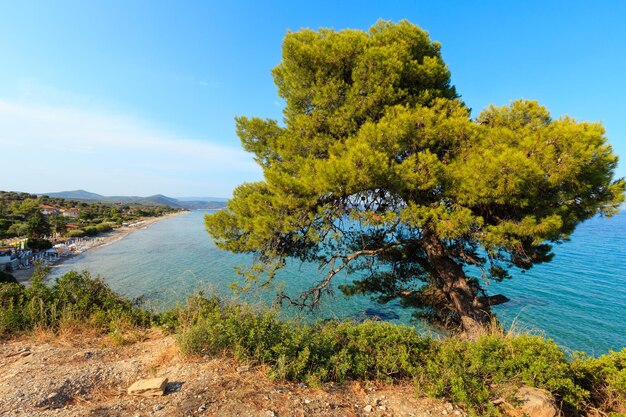 Cudowna piaszczysta plaża na Morzu Egejskim na Sithonii, Halkidiki, Grecja.