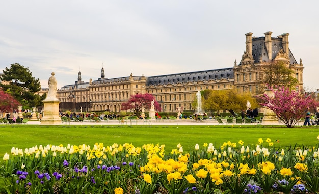 Cudowny wiosenny ogród Tuileries i widok na Luwr w Paryżu, Francja Kwiecień 2019