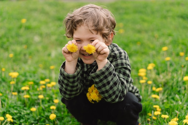 Curly boy zbiera i wącha kwiaty mniszka lekarskiego