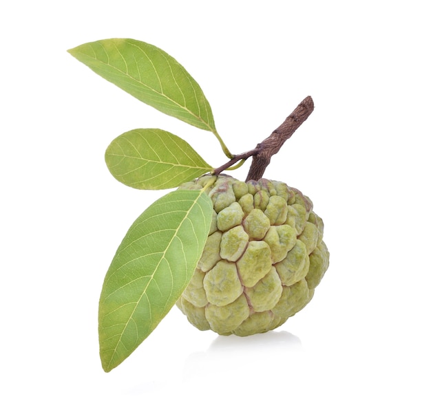 Custard apple izolat na białym tle