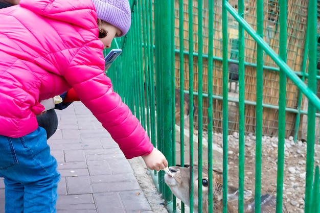 Cute girl maluch karmienia zwierząt na farmie dla dzieci Piękne dziecko pieszczoty zwierząt w zoo