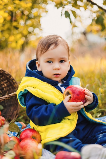 Cute little boy jedzenia czerwonych jab?ek w jesiennym ogrodzie Ch?opiec zbieranie jab?ek w sadzie