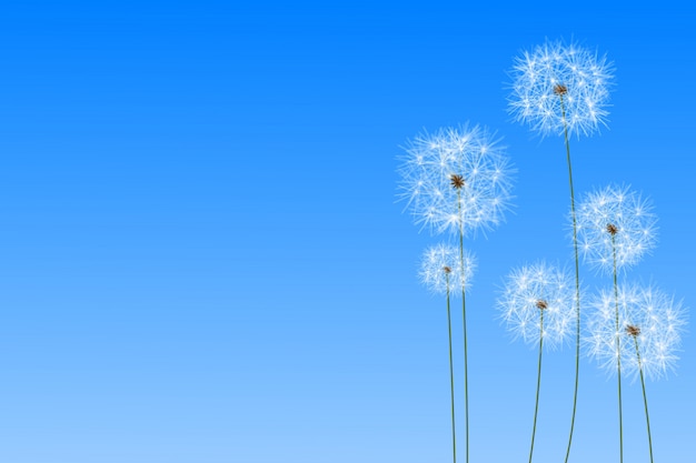 Cyfrowo wytwarzający dandelions przeciw niebieskiemu niebu