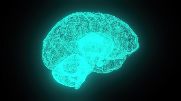 Zdjęcie cyfrowy mózg z liniami wygenerowanymi przez komputer