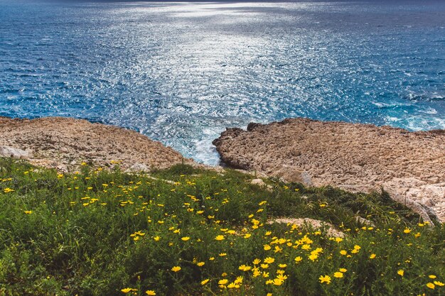 Cypr Narodowy park leśny półwyspu Ayia Napa Cape Greco