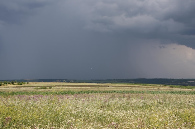 Zdjęcie czarna chmura burzowa wisi daleko nad doliną i pada silny deszcz.