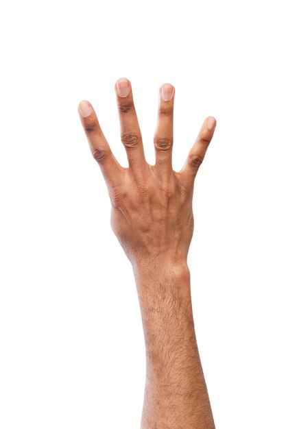 Czarna ręka pokazuje numer cztery na białym tle. Liczenie gestów, wyliczanie, białe tło