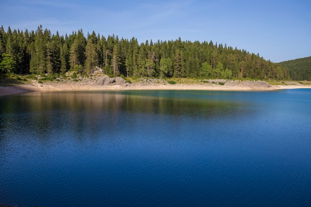 Czarne jezioro, Crno jezero i las iglasty w Parku Narodowym Durmitor, Czarnogóra