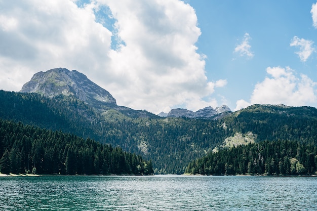 Czarne jezioro w czarnogórze w parku narodowym durmitor w zabljaku