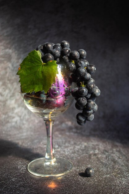 Czarne winogrona Isabella leży w kieliszku wina