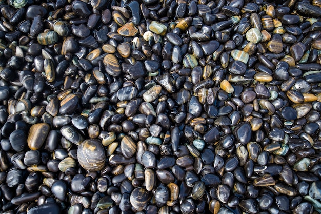 czarno-białe kamienie na plaży w Lipe Island