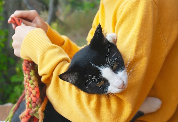 Czarno-biały kot leży w rękach dziewczyny, która robi na drutach