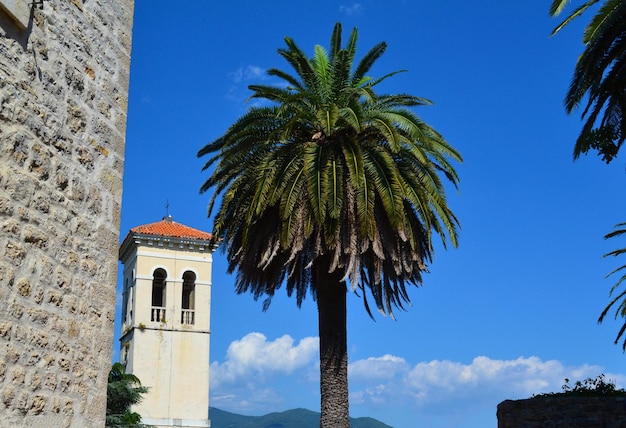 Czarnogóra Kotor