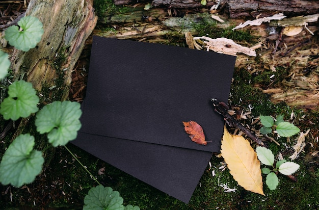 Czarny papier rzemieślniczy szablon makieta na tle magicznej przyrody lasu