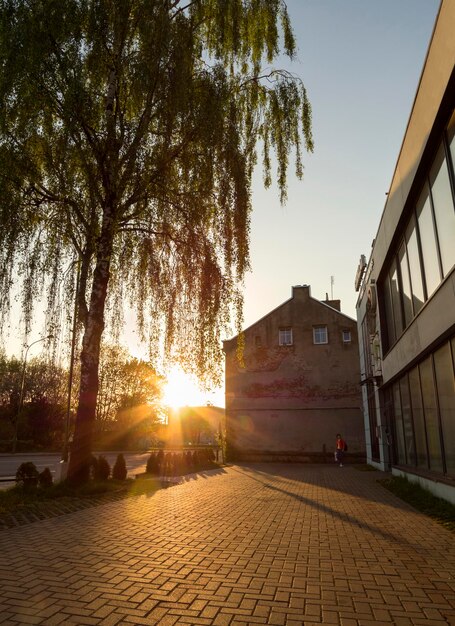 Czarujący zachód słońca z jasnymi kolorami i nowoczesnymi budynkami na ulicy Kłajpedy, Litwa