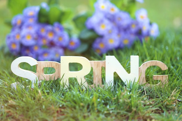 Zdjęcie czas wiosny napis wiosny wykonany w zielonej trawie z kroplami rosy na niewyraźne ściany roślin w słońcu