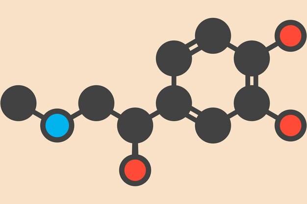 Cząsteczka neurotransmitera dopaminy