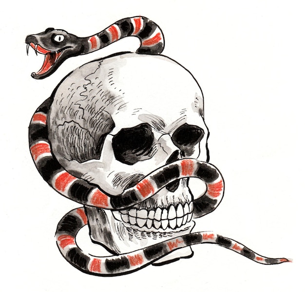Czaszka i jadowity wąż. Tusz czarno-biały rysunek
