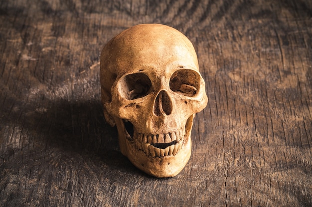 Czaszka na starym drewnianym tle, Phoney ludzka czaszka na drewnianej podłoga, Halloweenowy pojęcie