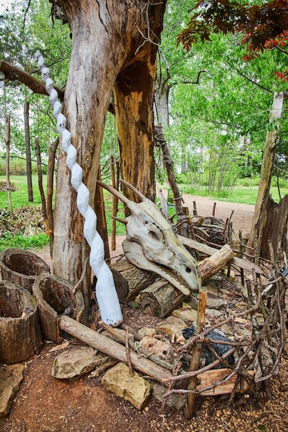 Czaszka smoka w pobliżu drzewa z otwartym łukiem w środku i otoczona płotem z patyków i rogiem jednorożca