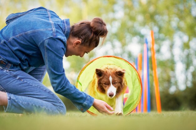 Czekoladowe Border Collie Z Białą Właścicielką