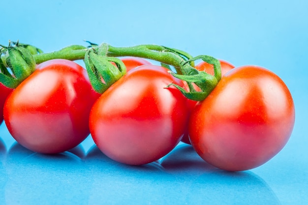 Czereśniowi pomidory na błękitnym tle