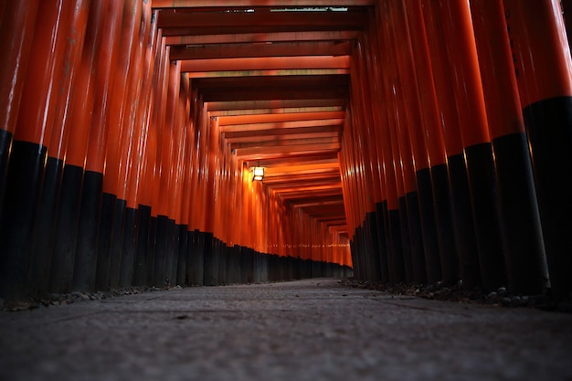 Czerwona brama Tori w świątyni Fushimi Inari w Kioto, Japonia, selektywne ustawianie ostrości z nieostrością