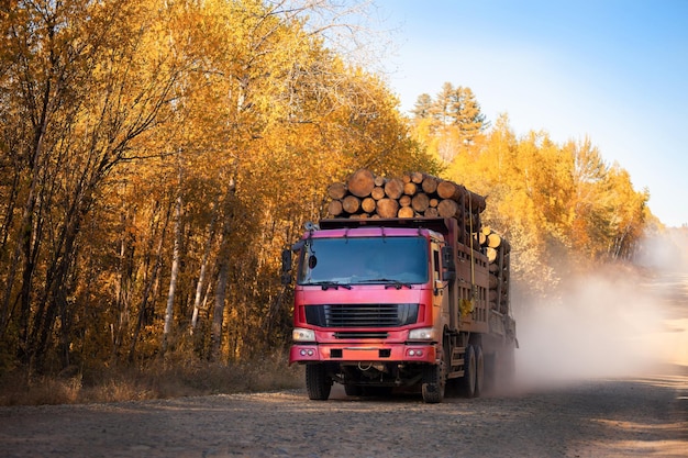 Czerwona ciężarówka do wyrębu na leśnej drodze jesienią