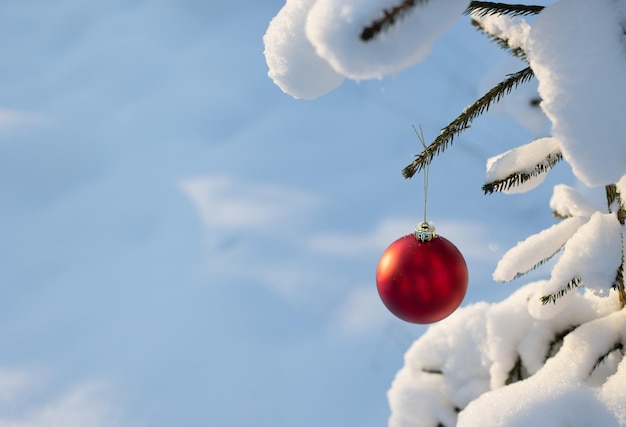 Czerwona dekoracja świątecznej piłki wisi na gałęzi jodły na ulicy w parku w białym śniegu
