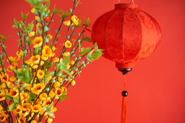 Czerwona jedwabna wietnamska latarnia i kwitnące gałęzie drzewa morelowego jako dekoracje na wiosenny festiwal