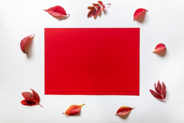 Czerwona kartka papieru na białym otoczona czerwonymi liśćmi.
