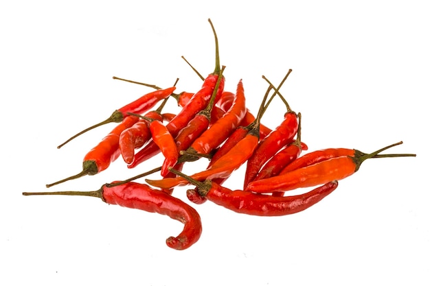 Czerwona papryczka chilli