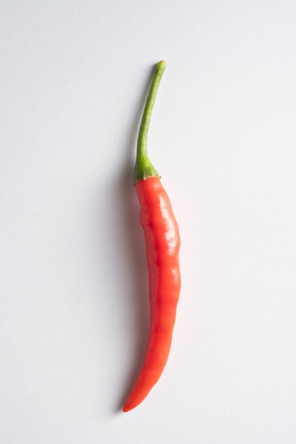 czerwona papryka chilli