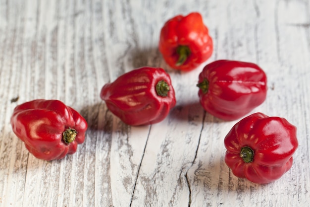 Czerwona Papryka Habanero Chili