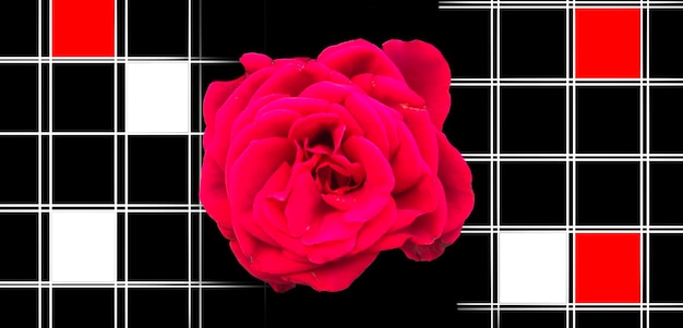 Czerwona róża geometryczna sztuka tło