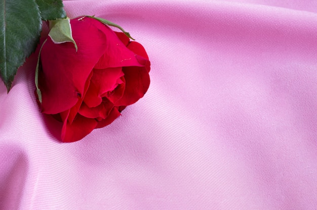 Zdjęcie czerwona róża na różowym tle jedwabiu