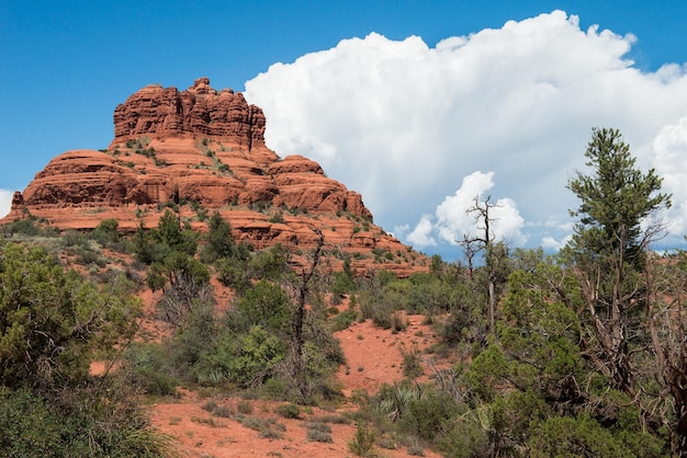 Czerwona skała górska w Coconino National Forest w Arizonie, USA