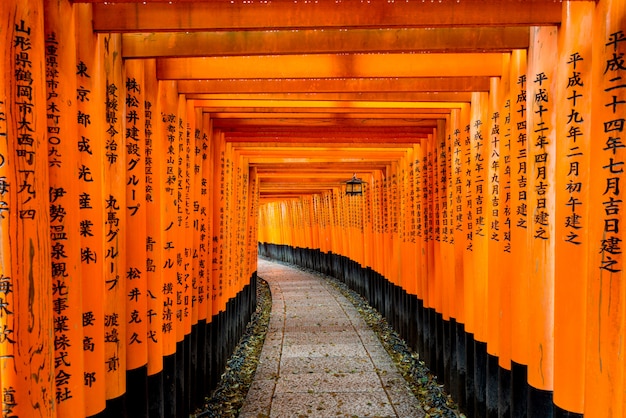 Czerwona Tori Brama Przy Fushimi Inari świątynią W Kyoto, Japonia.