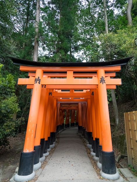 Czerwone Bramy Tori W Fushimi-inari Taisha, Kioto, Japonia.