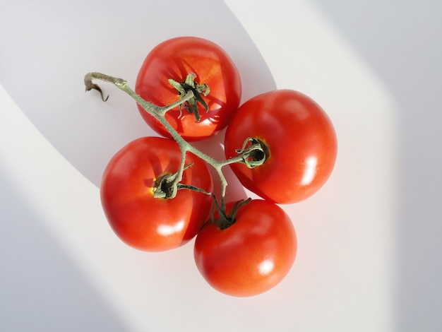 Czerwone całe dojrzałe pomidory na gałęzi z cieniem na białym tle