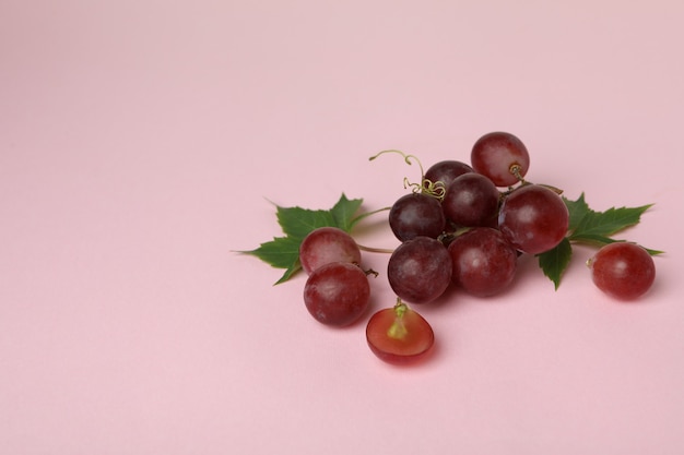 Czerwone dojrzałe winogrona na różowym tle, miejsce na tekst
