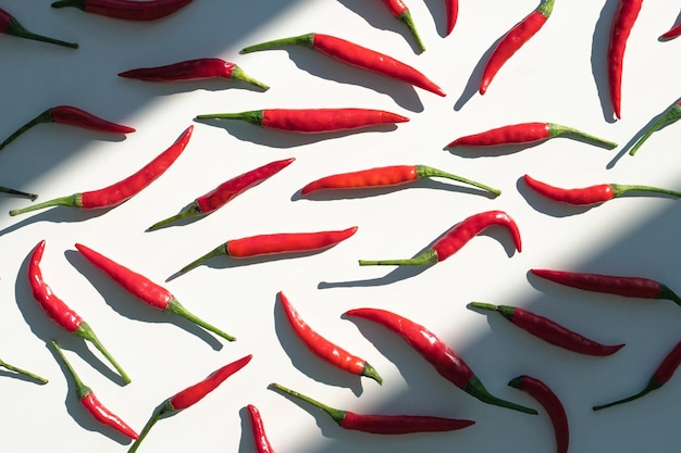 Zdjęcie czerwone gorące papryki chili bezszwone wzór na białym tle