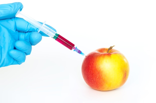 Czerwone i żółte jabłko i strzykawka z azotanami na białym tle na białej ścianie. Pestycydy i azotany są wstrzykiwane przez pracownika naukowego do jabłka za pomocą strzykawki. Koncepcja składnika żywności GMO