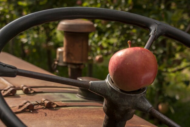 Czerwone jabłko właśnie zebrane i umieszczone na kierownicy używanej do zbioru.