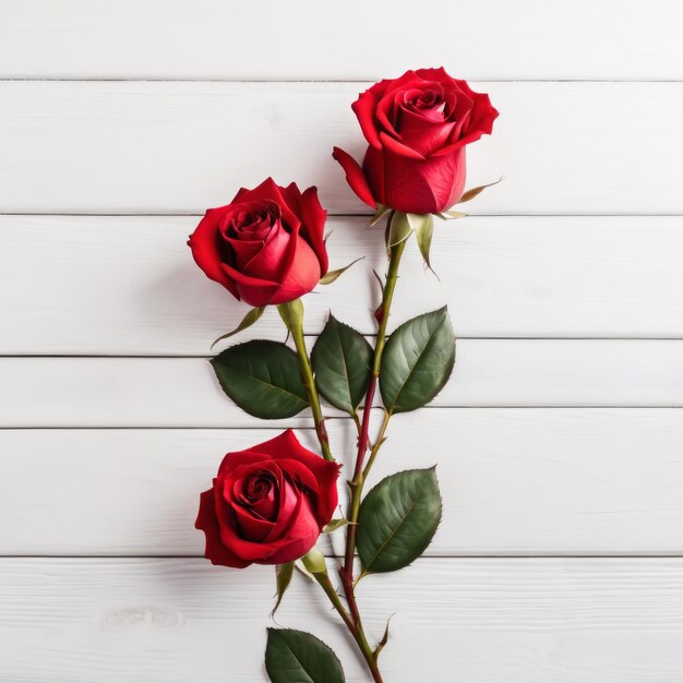 Czerwone kwiaty róży na białym drewnianym tle Romantyczna kartka powitalna na Dzień Walentynek