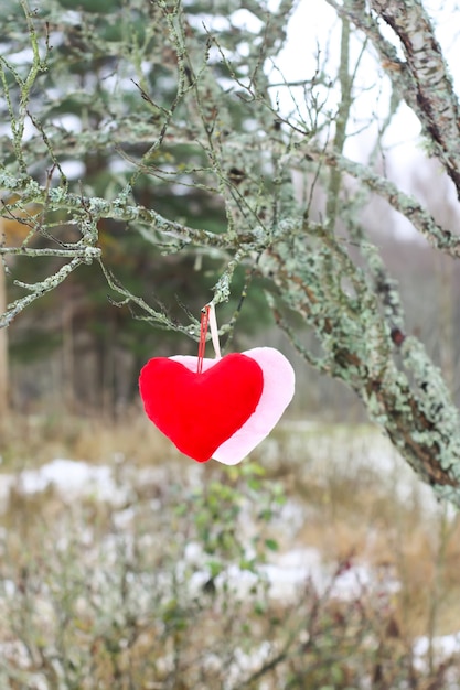 Czerwone Ozdobne Pluszowe Serca Na Gałęzi Drzewa W Winter Park.