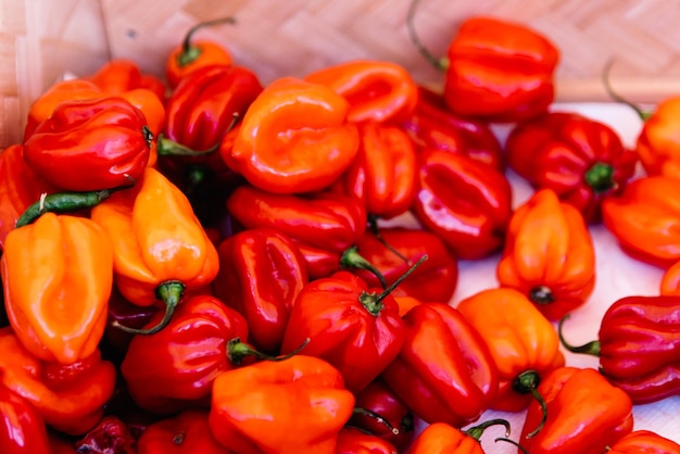 Zdjęcie czerwone papryki chili